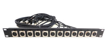 Load image into Gallery viewer, PROCRAFT TSP1LW-12X-4-BK 1U Formed Rack Panel 12 XLR w/4&#39; Pigtails (Any Config)